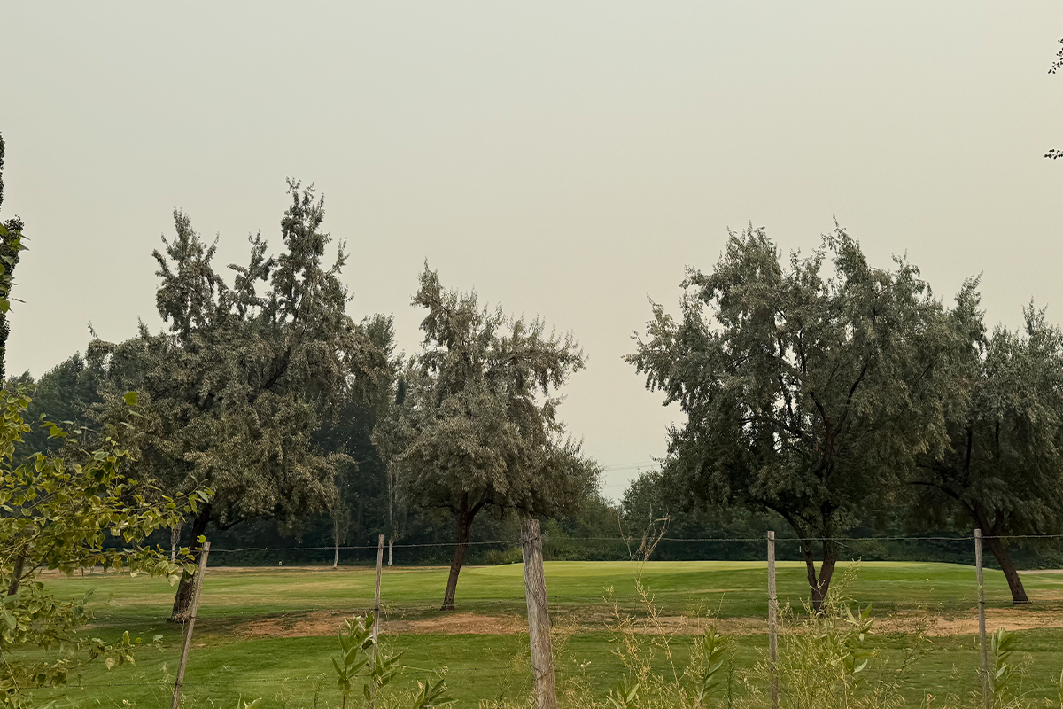 Golfing in Wildfire Smoke in the Okanagan: Should You Play and Do UV Rays Still Matter?